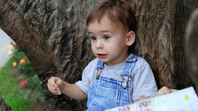 Cute smiling baby boy looks at the book with interest. Kid sits at the tree looking through the colorful pictures. Close up.