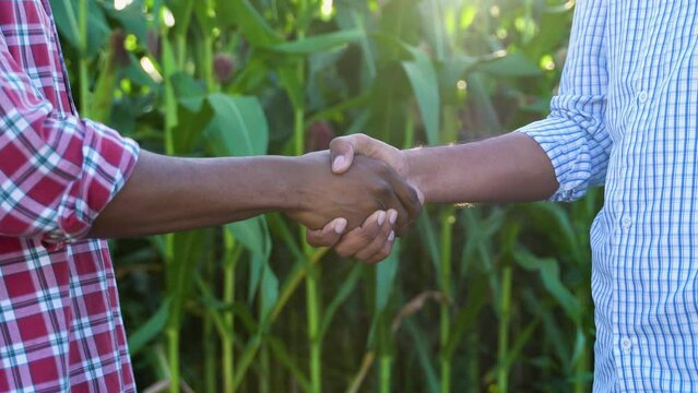 People shaking hands in a field, close up