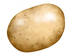 potato watercolor illustration isolated element