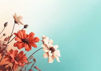 Red and white flowers on a blue and pale pink white background gradient. Negative space Graphic resource background for design work