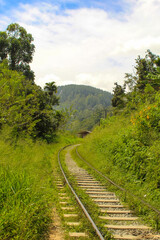 A path to famous Ella rock mountain in central Sri Lanka, early morning, rails