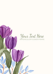 Manual painted of purple tulip flower watercolor as background frame.
