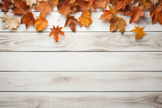 Harvest hues on rustic white wood, Thanksgiving wallpaper featuring fall leaves