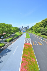 Fototapeta na wymiar 日本の東京のまっすぐな都会の道路