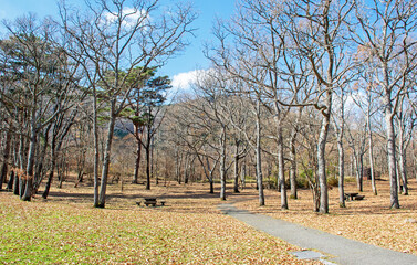 Fototapeta premium 阿蘇くじゅう国立公園の秋｜心静かにカルデラ湖の外輪山を眺めることが出来ました 