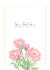 Manual painted of pink peony flower watercolor as background frame.

