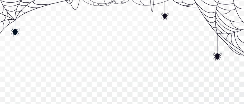spiders cobweb on web with isolated on a transparent background. halloween background design element.vector illustration EPS10