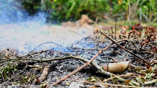 Smoke Was Burning In ThSmoke Was Burning In The Garden is motion footage for documentary films and cinematic in nature scene. Also good background for scene and titles.e Garden