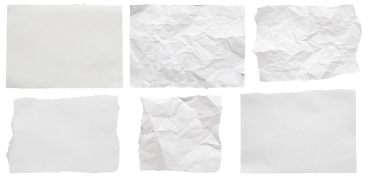 piece of white paper tear set collection isolated on white background