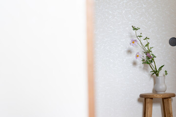 和室に飾った秋明菊という花