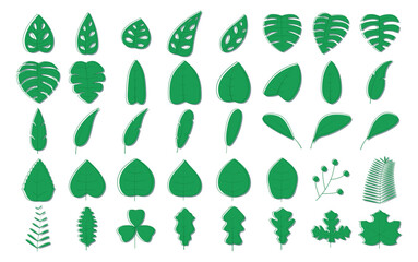 set of green leaves with outline