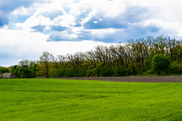 Beautiful horizon scenery in village meadow on color natural background