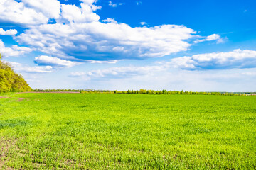 Beautiful horizon scenery in village meadow on color natural background