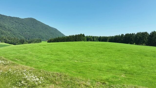 Slow motion aerial shot revealing a vibrant green meadow surrounded by forests and hills