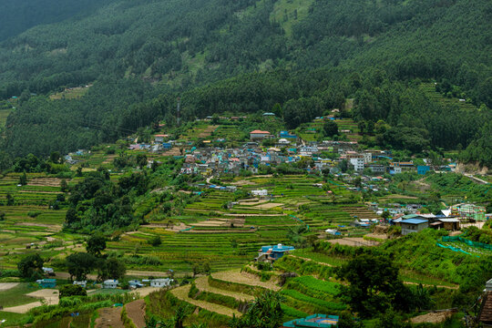 Beautiful Agriculture Farm Field View in Vattavada in Munnar,Idukki District, Kerala, India