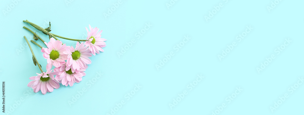 Wall mural top view image of pink flowers composition over pastel blue background