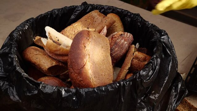 The surplus of unsold and uneaten bread is thrown into the trash. Craft and industrial bakeries, supermarkets, restaurants and canteens bread waste