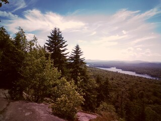 trees on top of a mountain
