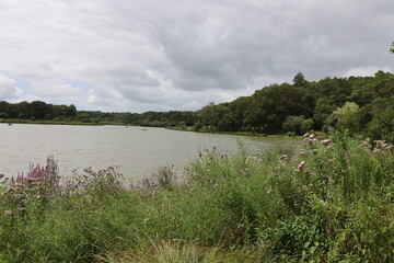 L'étang du moulin neuf, village de Rochefort-en-Terre, département du Morbihan, Bretagne, France