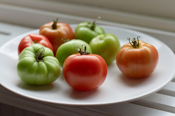 Red and green tomatoes on a plate let to ripen on a window sill in the light from a window.