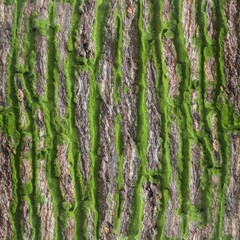 Bark material with moss bark element 3d texture easy to use