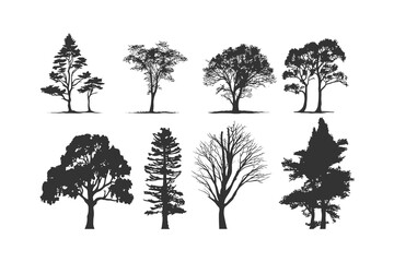 Fototapeta premium Silhouette tree line drawing set. Vector illustration desing.