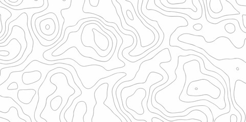 Abstract pattern with lines Topographic map. Geographic mountain relief. Abstract lines background. Contour maps. Vector illustration, Topo contour map on white background, Topographic contour lines.