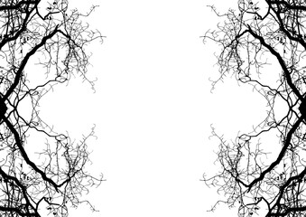 Obraz premium Bare tree branches silhouette on white background