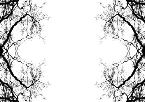 Branch silhouette on a white background.