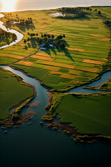Drone point view over the paddy field by the dam