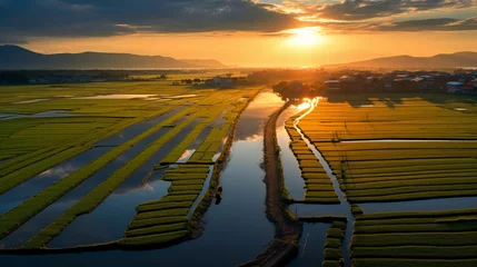 Fototapete Reisfelder Drone point view over the paddy field by the dam