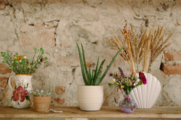 Potted plants and succulents with dried and fresh flowers