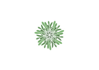 Illustration icon or cartoon and inspired by sea plants  with green color that can used fpor template, print, sticker, t-shirt, e.t.c
