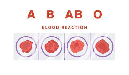 Blood circulating throughout the body