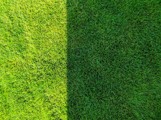 Close up of green lawn on a sunny day. Sun and shadow. Top view