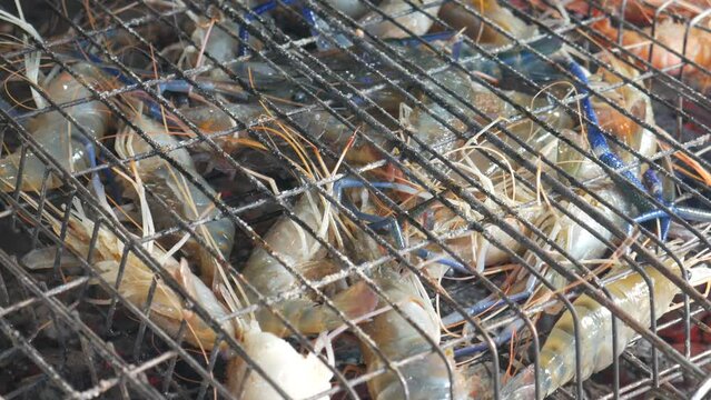 live raw fresh jumping blue river shrimp prawn in metal cage ready to grill cook