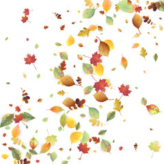 Leaves Falling Autumn Foliage Chaotic Leaf Flying