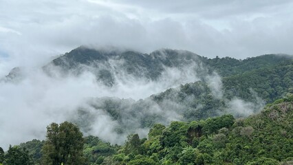 Scenic view of  misty mountain in winter season at  Doi Pha Hee, Chiang Rai, Thailand.