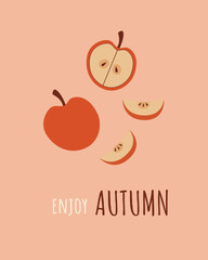 Hello autumn greeting cards. Autumn quotes like Stay Warm, Happy Autumn, Sweater Weather, Welcome Autumn cards.Vector illustration cartoon flat style.