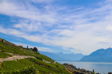 Fototapeta na wymiar View of the famous Lavaux terraced vineyards, lake Geneva and the Alps in canton Vaud, Switzerland