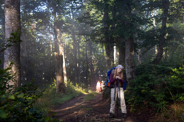 Fototapeta premium girl hiker with a backpack on a path in the forest