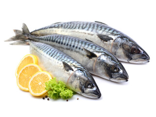 Mackerel fish on white background
