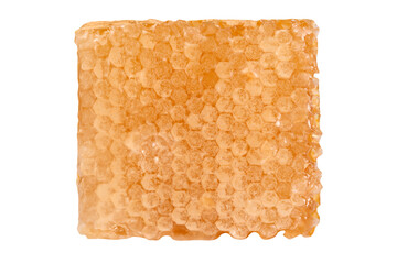 Honey in honeycombs isolated on a transparent background.