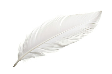 Feather on a transparent Background, Ai