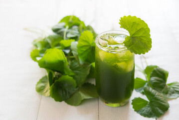 gotu kola juice, asiatic pennywort, centella asiatica, ayurveda herbal drink on wood white