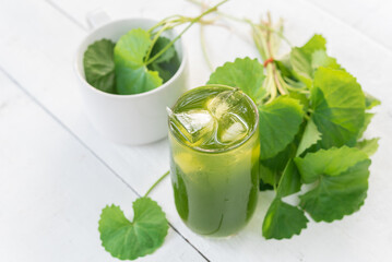 Gotu kola drink, Centella asiatica juice,heart tonic, Asiatic leaf juice