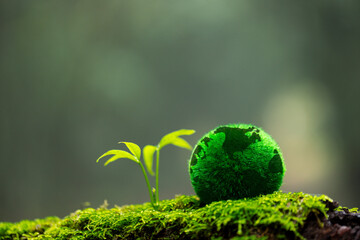 Environment. Green globe on grass moss in forest, Green planet with abstract defocused bokeh...