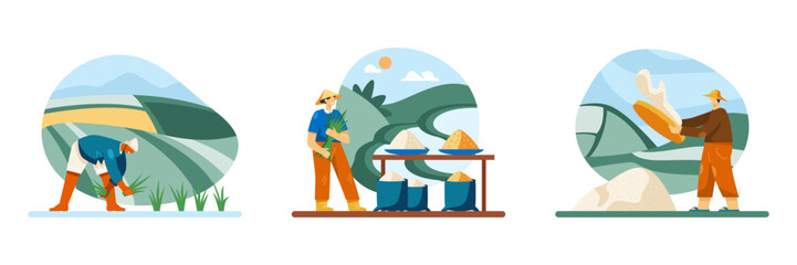 Man of Asian appearance is working on field, collecting plants. Female standing near table with rice of different varieties. Worker sowing rice groats. Vector illustration in cartoon style