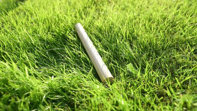 Wikingerschach wurfholz wird aufgenommen auf einer saftig gr&uuml;nen Wiese im abendlichen sonnenlicht