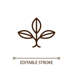Plant seedling linear icon. Environmental friendly. Healthy living. Organic product. Garden center. Clean planet. Thin line illustration. Contour symbol. Vector outline drawing. Editable stroke